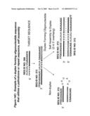 RNA INTERFERENCE MEDIATED INHIBITION OF TNF AND TNF RECEPTOR GENE EXPRESSION USING SHORT INTERFERING NUCLEIC ACID (siNA) diagram and image