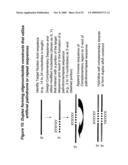 RNA INTERFERENCE MEDIATED INHIBITION OF TNF AND TNF RECEPTOR GENE EXPRESSION USING SHORT INTERFERING NUCLEIC ACID (siNA) diagram and image