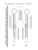 RNA INTERFERENCE MEDIATED INHIBITION OF TNF AND TNF RECEPTOR GENE EXPRESSION USING SHORT INTERFERING NUCLEIC ACID (siNA) diagram and image