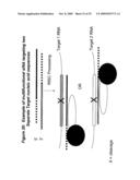 RNA INTERFERENCE MEDIATED INHIBITION OF TNF AND TNF RECEPTOR GENE EXPRESSION USING SHORT INTERFERING NUCLEIC ACID (siNA) diagram and image