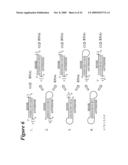 RNA INTERFERENCE MEDIATED INHIBITION OF PLATELET DERIVED GROWTH FACTOR (PDGF) AND PLATELET DERIVED GROWTH FACTOR RECEPTOR (PDGFR) GENE EXPRESSION USING SHORT INTERFERING NUCLEIC ACID (siNA) diagram and image