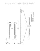 RNA INTERFERENCE MEDIATED INHIBITION OF PLATELET DERIVED GROWTH FACTOR (PDGF) AND PLATELET DERIVED GROWTH FACTOR RECEPTOR (PDGFR) GENE EXPRESSION USING SHORT INTERFERING NUCLEIC ACID (siNA) diagram and image