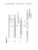 RNA INTERFERENCE MEDIATED INHIBITION OF PLATELET DERIVED GROWTH FACTOR (PDGF) AND PLATELET DERIVED GROWTH FACTOR RECEPTOR (PDGFR) GENE EXPRESSION USING SHORT INTERFERING NUCLEIC ACID (siNA) diagram and image