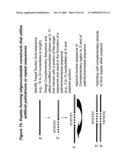 RNA INTERFERENCE MEDIATED INHIBITION OF PLATELET DERIVED GROWTH FACTOR (PDGF) AND PLATELET DERIVED GROWTH FACTOR RECEPTOR (PDGFR) GENE EXPRESSION USING SHORT INTERFERING NUCLEIC ACID (siNA) diagram and image