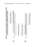 RNA INTERFERENCE MEDIATED INHIBITION OF PLATELET DERIVED GROWTH FACTOR (PDGF) AND PLATELET DERIVED GROWTH FACTOR RECEPTOR (PDGFR) GENE EXPRESSION USING SHORT INTERFERING NUCLEIC ACID (siNA) diagram and image