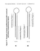 RNA INTERFERENCE MEDIATED INHIBITION OF PLATELET DERIVED GROWTH FACTOR (PDGF) AND PLATELET DERIVED GROWTH FACTOR RECEPTOR (PDGFR) GENE EXPRESSION USING SHORT INTERFERING NUCLEIC ACID (siNA) diagram and image