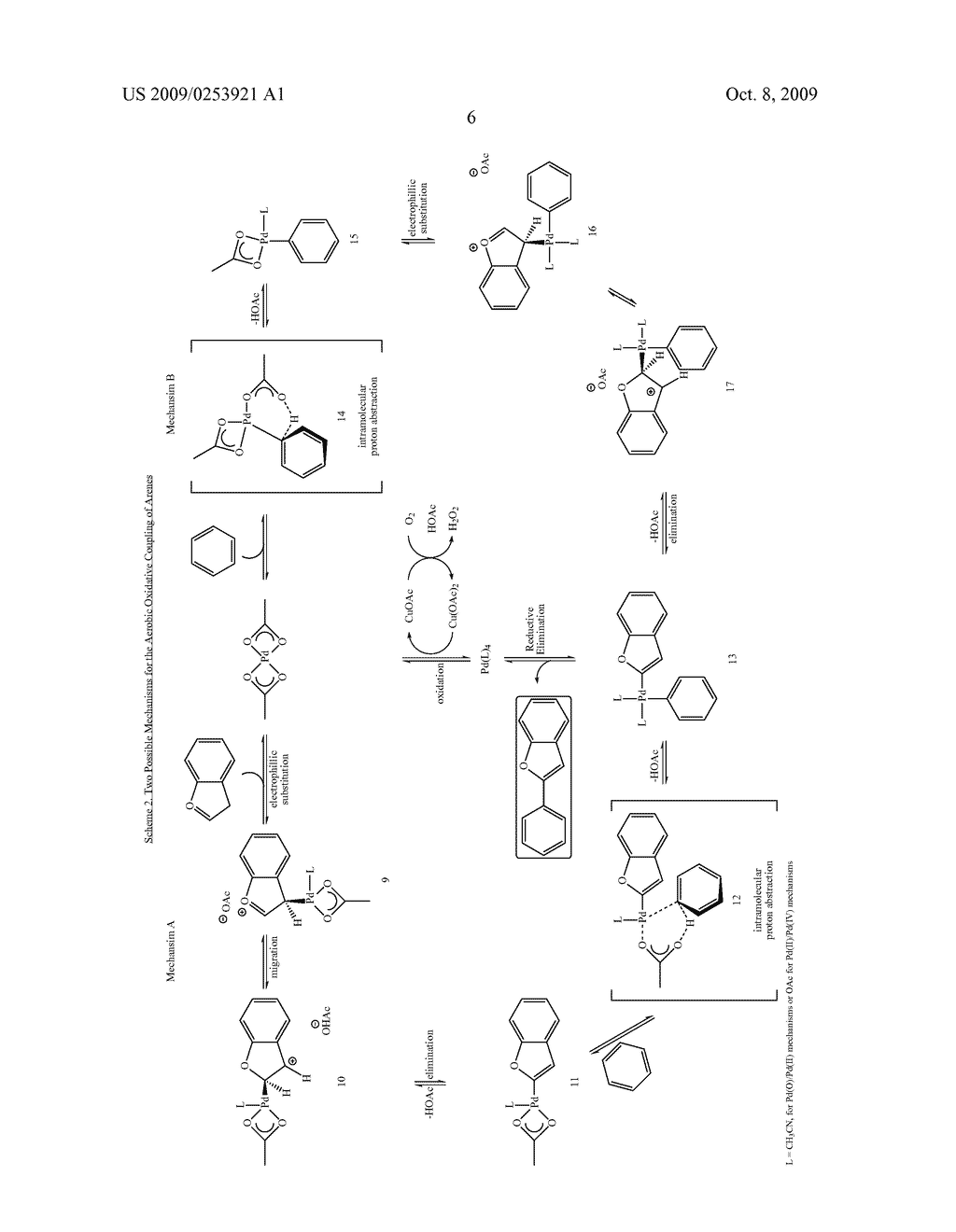 AEROBIC OXIDATIVE COUPLING FOR THE FORMATION OF BIARYLS - diagram, schematic, and image 10