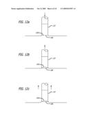 SKIN BIOPSY WITH AUTOMATED LESION STABILIZATION AND RESECTION diagram and image