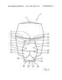 Flexible Package with Opening Means diagram and image