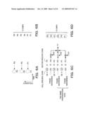 DATA GENERATION APPARATUS, DATA GENERATION METHOD, BASE STATION, MOBILE STATION, SYNCHRONIZATION DETECTION METHOD, SECTOR IDENTIFICATION METHOD, INFORMATION DETECTION METHOD AND MOBILE COMMUNICATION SYSTEM diagram and image