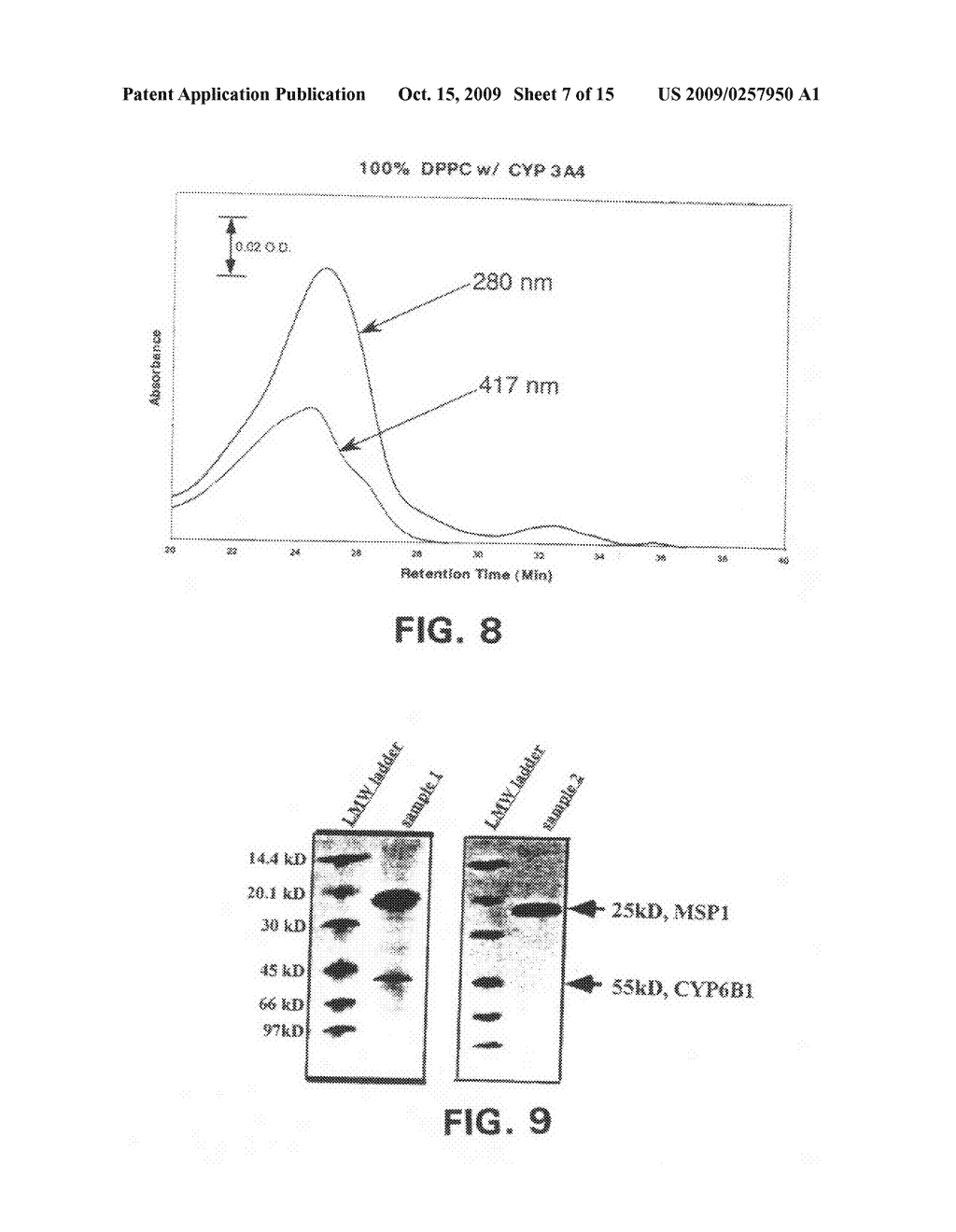 Membrane Scaffold Proteins - diagram, schematic, and image 08