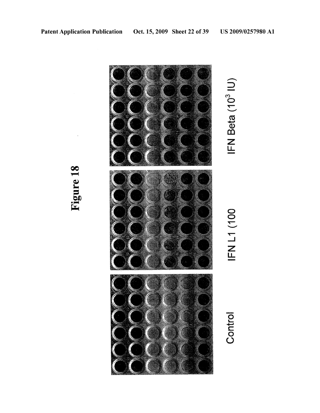 ANTI-VIRUS THERAPY FOR RESPIRATORY DISEASES - diagram, schematic, and image 23