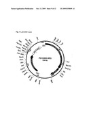 PROTOFIBRIL SELECTIVE ANTIBODIES AND THE USE THEREOF diagram and image