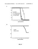 Antibodies against west nile virus and therapeutic and prophylactic uses thereof diagram and image