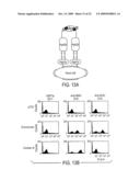 Antibodies against west nile virus and therapeutic and prophylactic uses thereof diagram and image