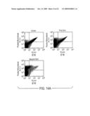 Antibodies against west nile virus and therapeutic and prophylactic uses thereof diagram and image