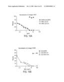 Antibodies against west nile virus and therapeutic and prophylactic uses thereof diagram and image