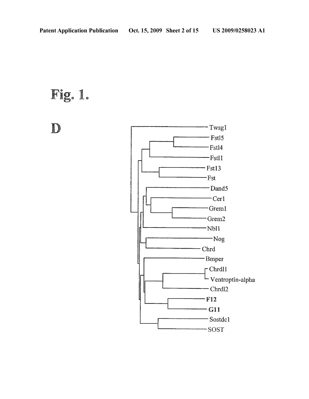 TGF-BETA SUPERFAMILY BINDING PROTEINS AND MODULATION OF BONE FORMATION AND LOSS - diagram, schematic, and image 03