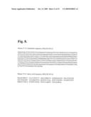 TGF-BETA SUPERFAMILY BINDING PROTEINS AND MODULATION OF BONE FORMATION AND LOSS diagram and image