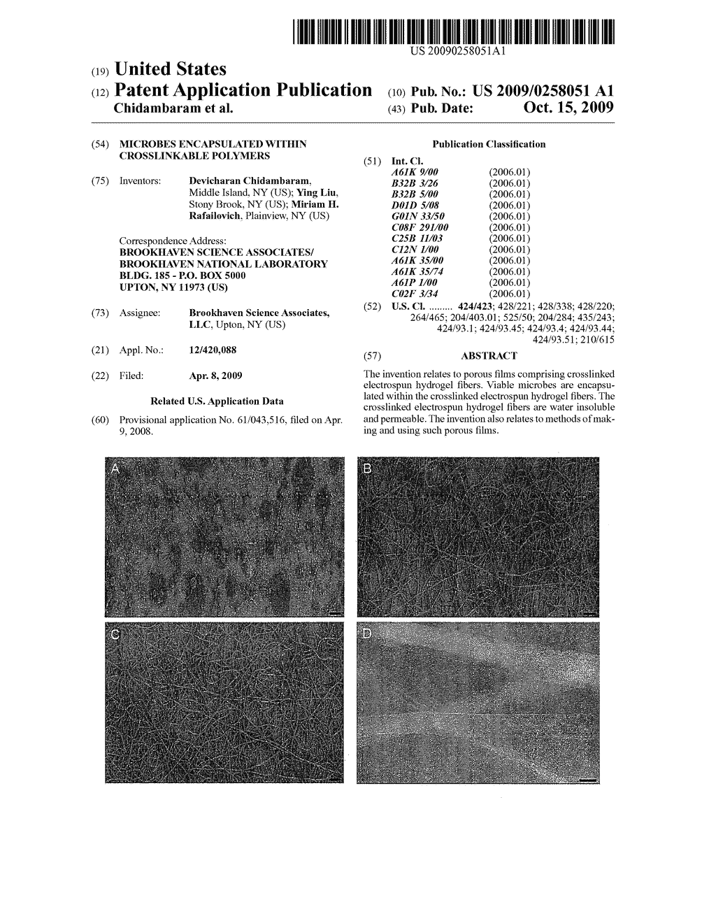 Microbes Encapsulated Within Crosslinkable Polymers - diagram, schematic, and image 01