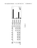 Pin1 as a marker for abnormal cell growth diagram and image