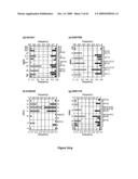 Methods for DNA Length and Sequence Determination diagram and image