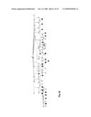 METHOD OF DETECTING EQUINE POLYSACCHARIDE STORAGE MYOPATHY diagram and image