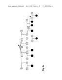 METHOD OF DETECTING EQUINE POLYSACCHARIDE STORAGE MYOPATHY diagram and image