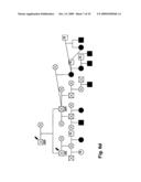 METHOD OF DETECTING EQUINE POLYSACCHARIDE STORAGE MYOPATHY diagram and image