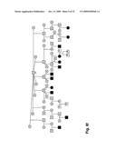 METHOD OF DETECTING EQUINE POLYSACCHARIDE STORAGE MYOPATHY diagram and image