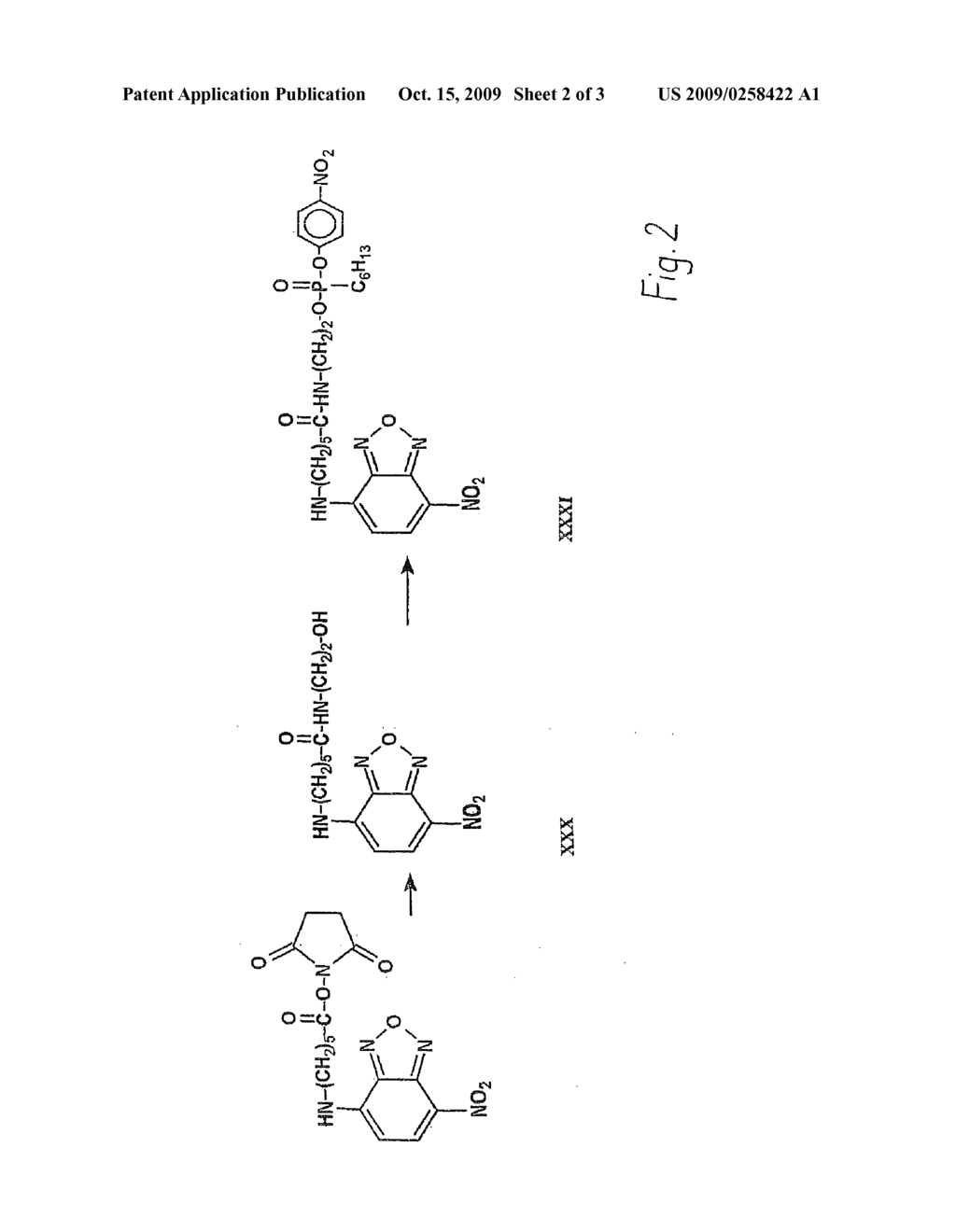 OPTICALLY DETECTABLE ORGANOPHOSPHONATES - diagram, schematic, and image 03