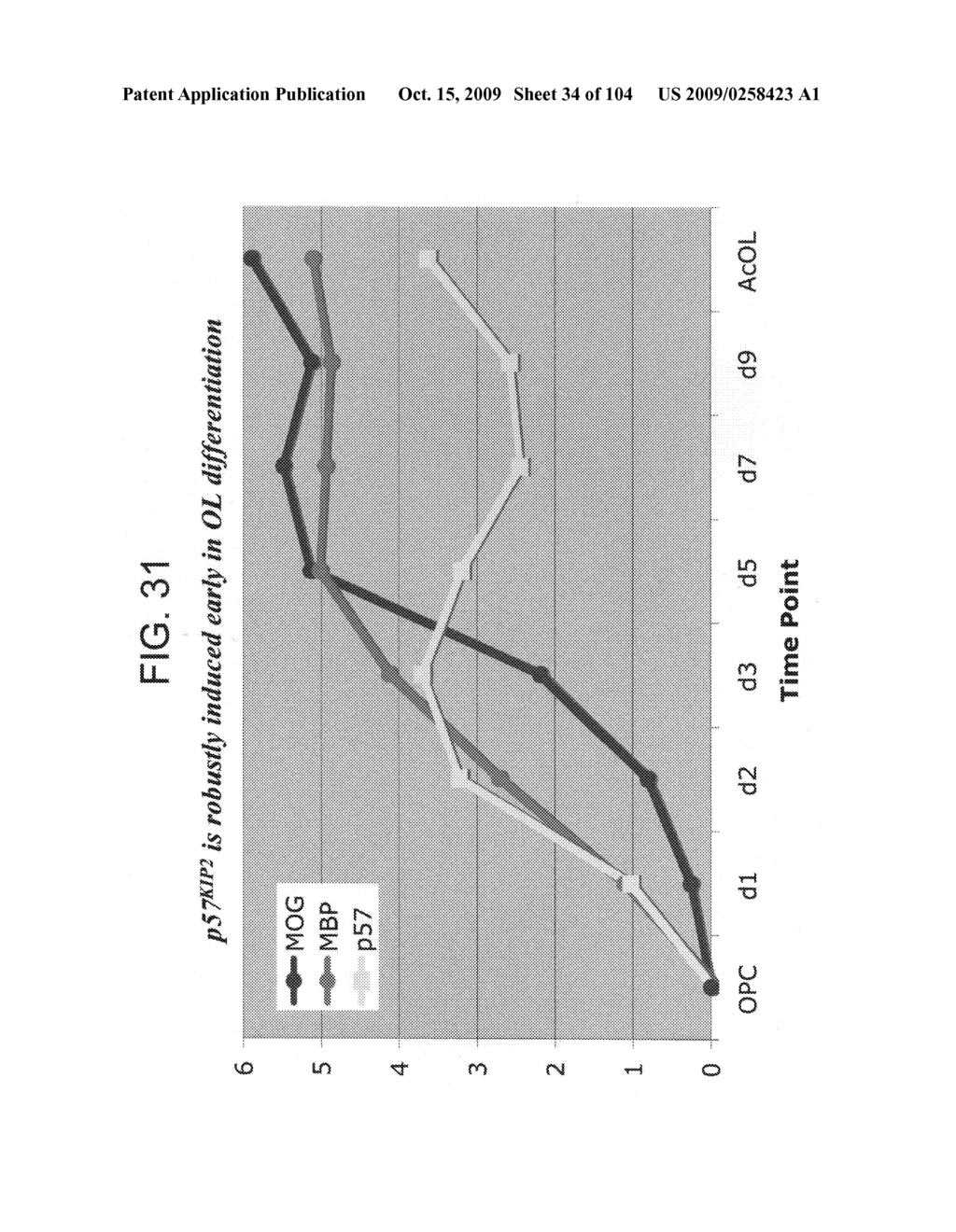 Cell cycle regulation and differentiation - diagram, schematic, and image 35