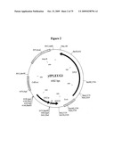 APOPTOSIS METHODS, GENES AND PROTEINS diagram and image