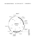 APOPTOSIS METHODS, GENES AND PROTEINS diagram and image