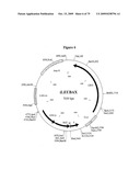 APOPTOSIS METHODS, GENES AND PROTEINS diagram and image