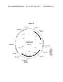 APOPTOSIS METHODS, GENES AND PROTEINS diagram and image