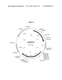 APOPTOSIS METHODS, GENES AND PROTEINS diagram and image