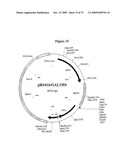 APOPTOSIS METHODS, GENES AND PROTEINS diagram and image