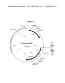 APOPTOSIS METHODS, GENES AND PROTEINS diagram and image