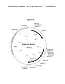 APOPTOSIS METHODS, GENES AND PROTEINS diagram and image