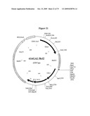 APOPTOSIS METHODS, GENES AND PROTEINS diagram and image