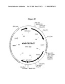 APOPTOSIS METHODS, GENES AND PROTEINS diagram and image