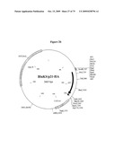 APOPTOSIS METHODS, GENES AND PROTEINS diagram and image