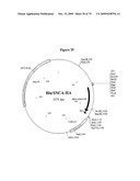 APOPTOSIS METHODS, GENES AND PROTEINS diagram and image