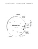 APOPTOSIS METHODS, GENES AND PROTEINS diagram and image