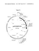 APOPTOSIS METHODS, GENES AND PROTEINS diagram and image