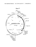 APOPTOSIS METHODS, GENES AND PROTEINS diagram and image