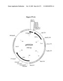 APOPTOSIS METHODS, GENES AND PROTEINS diagram and image