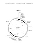 APOPTOSIS METHODS, GENES AND PROTEINS diagram and image