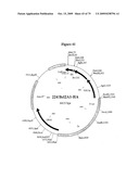 APOPTOSIS METHODS, GENES AND PROTEINS diagram and image